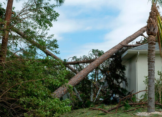 What to Do in the First 24 Hours After Hurricane Damage
