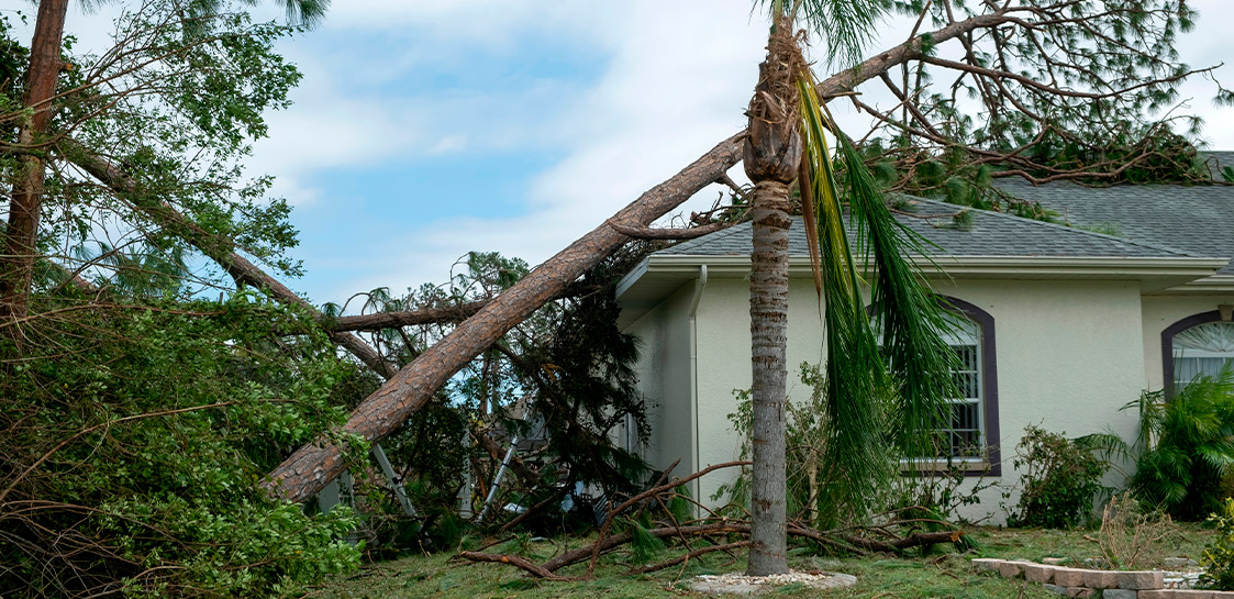 What to Do in the First 24 Hours After Hurricane Damage