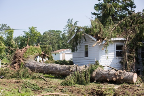 Home insurance. insurance storm.Storm damage.Roof damage from tree that fell over during hurricane storm.A storm causes a white oak tree to fall and rip through the roof of a house. A tree falls.