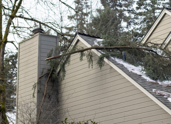 The Complete Guide to Appealing Denied Winter Storm Damage Claims