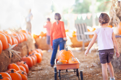 Two Young Girls Pulling Their Pumpkins In A Wagon at a Pumpkin Patch on a Fall Day.